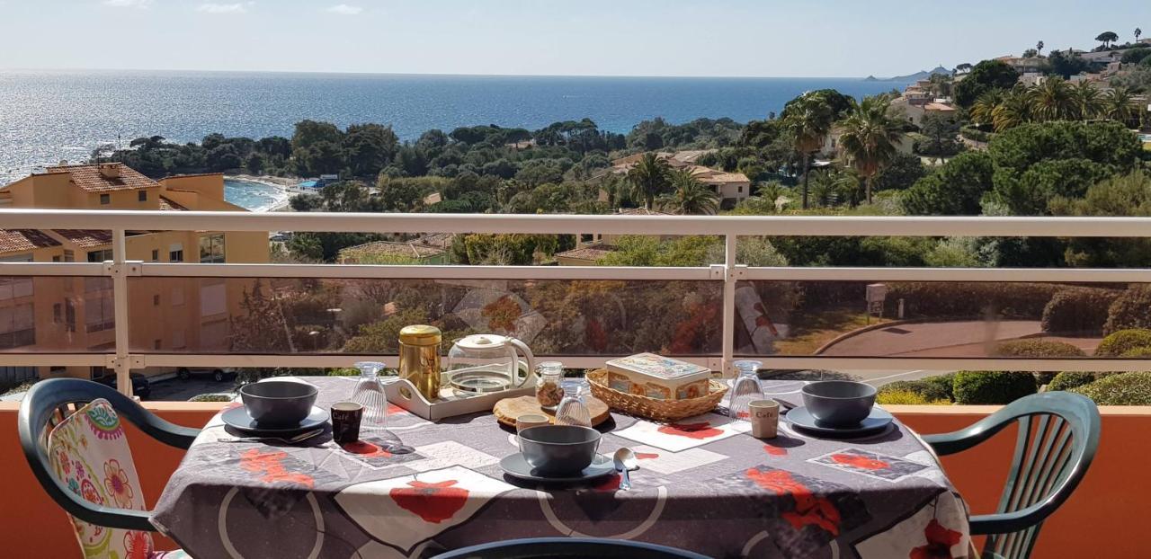 Grand Studio de standing bord de mer Ajaccio  Eksteriør bilde