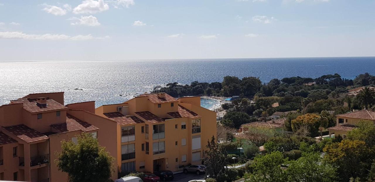 Grand Studio de standing bord de mer Ajaccio  Eksteriør bilde