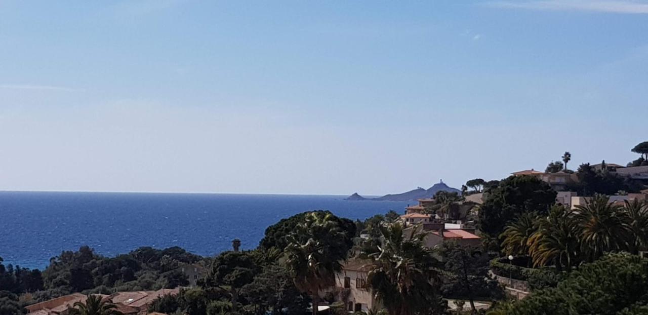 Grand Studio de standing bord de mer Ajaccio  Eksteriør bilde